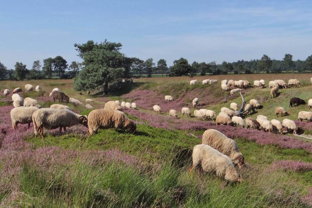 Bakkeveen4-6 Persoons Vakantiewoning Met Eigen Tuin别墅 外观 照片